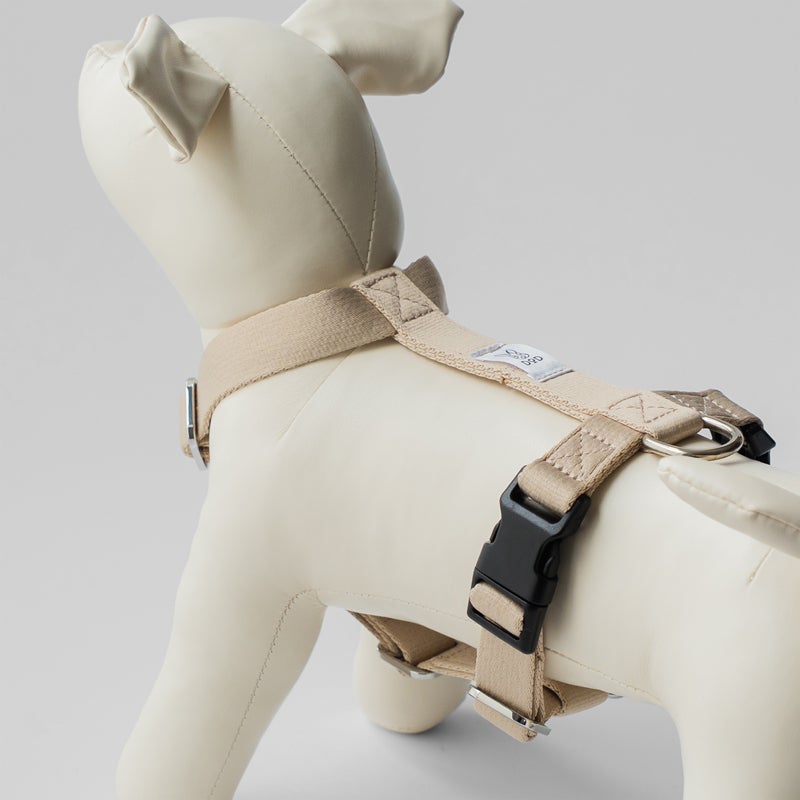 fave pet lead & harness | DOD STORE （ディーオーディー公式