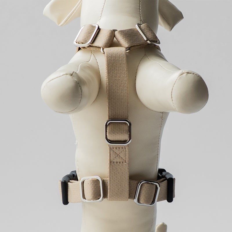 fave pet lead & harness | DOD STORE （ディーオーディー公式