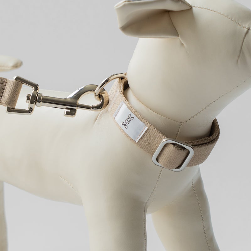 fave pet lead & collar | DOD STORE （ディーオーディー公式